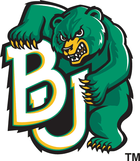 Baylor Bears 1997-2004 Alternate Logo diy iron on heat transfer...